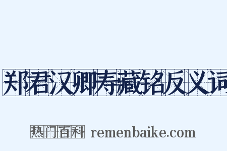 郑君汉卿寿藏铭反义词是什么意思的图片